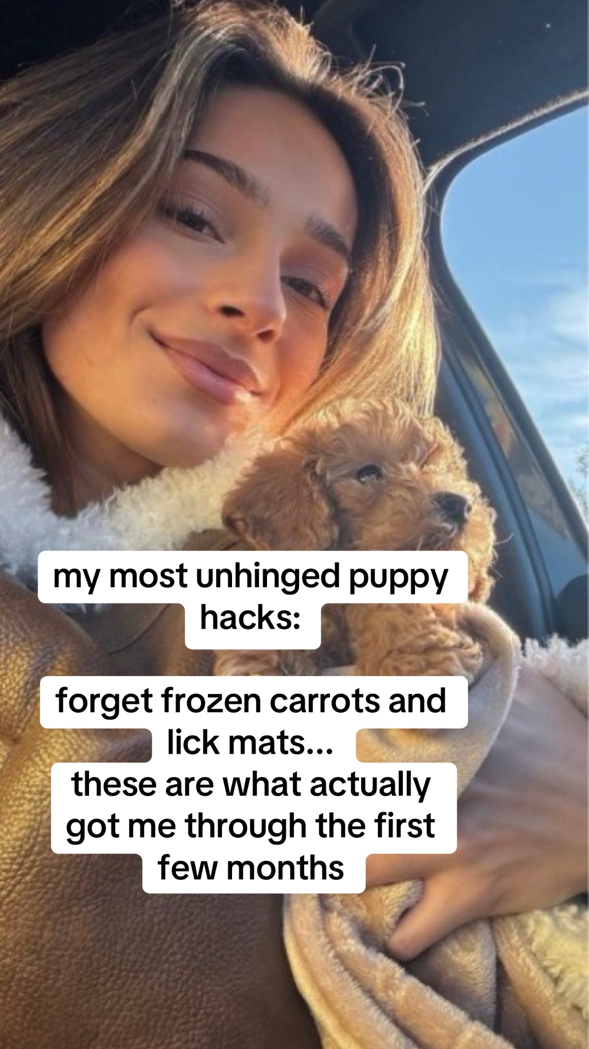 @TheVideoNook