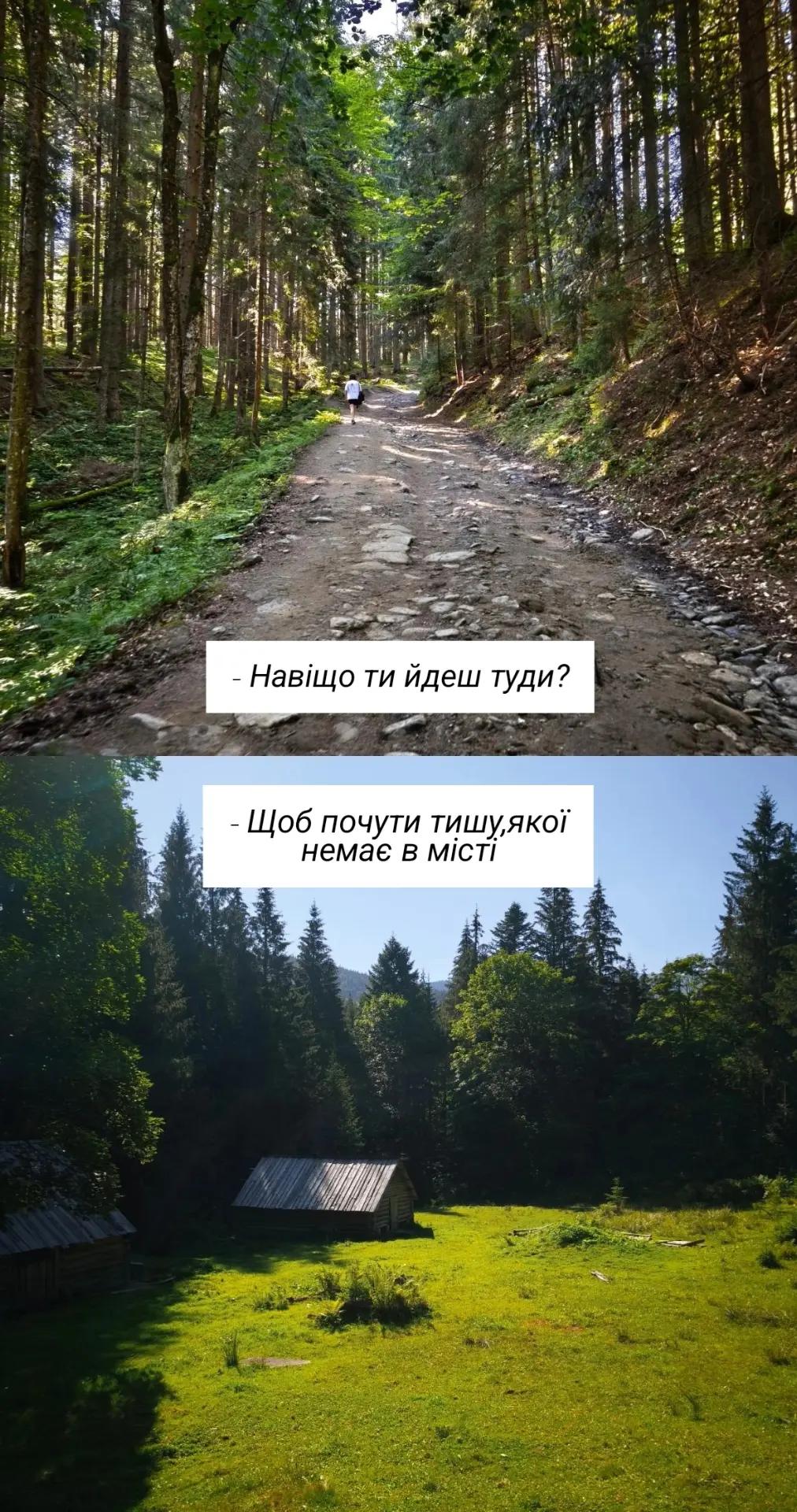 @Kusya