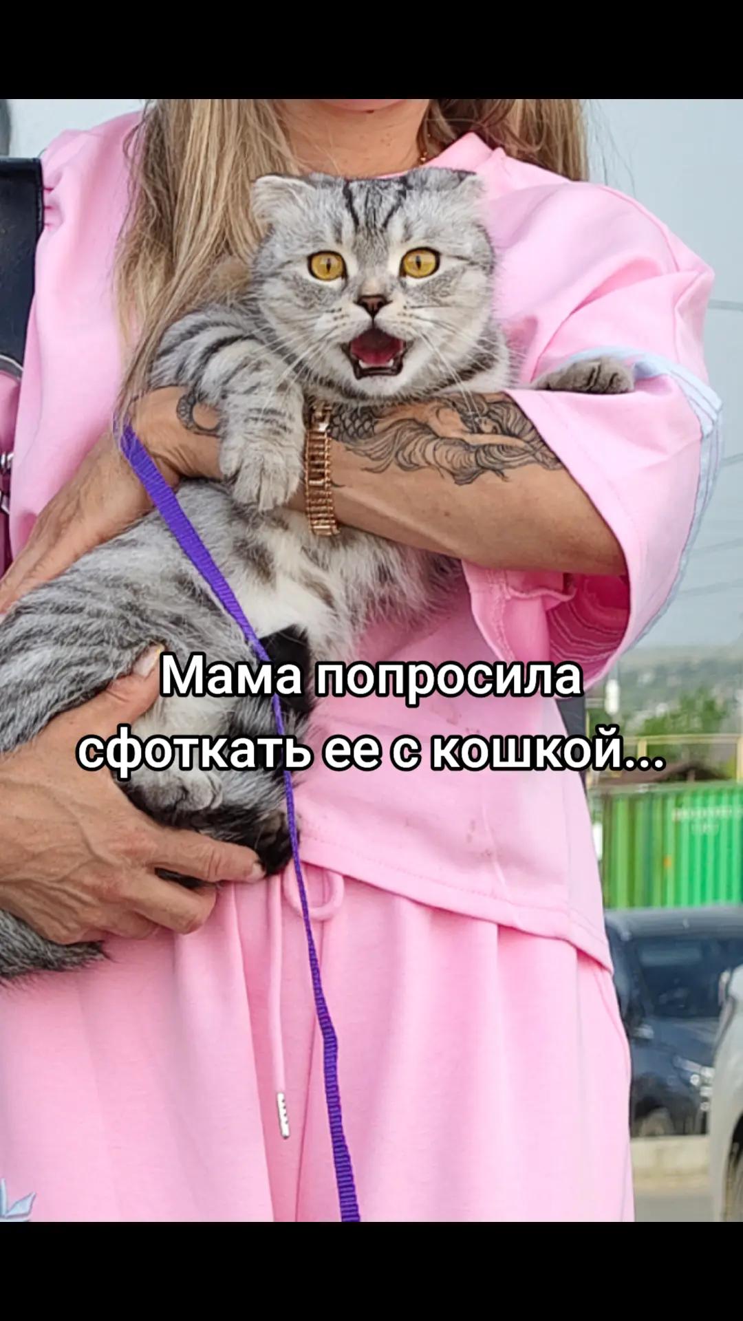 @Тайный Арбуз