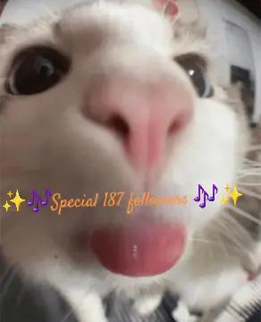 @🎧🎶✨️ ElCaTPana✨️🎶🤙