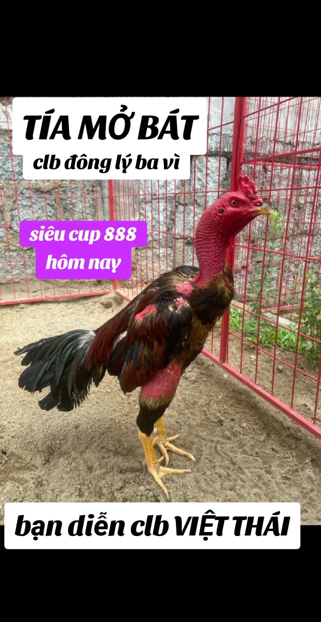 @nông thành trung