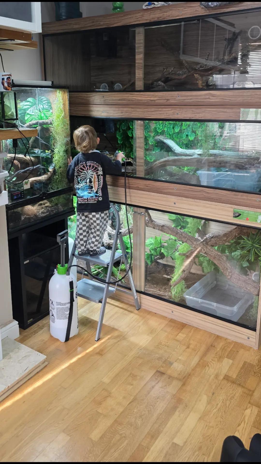 @T & N reptiles