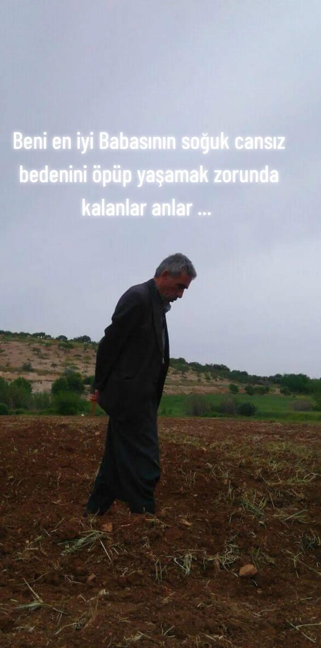 @Memocan Şeddatlı