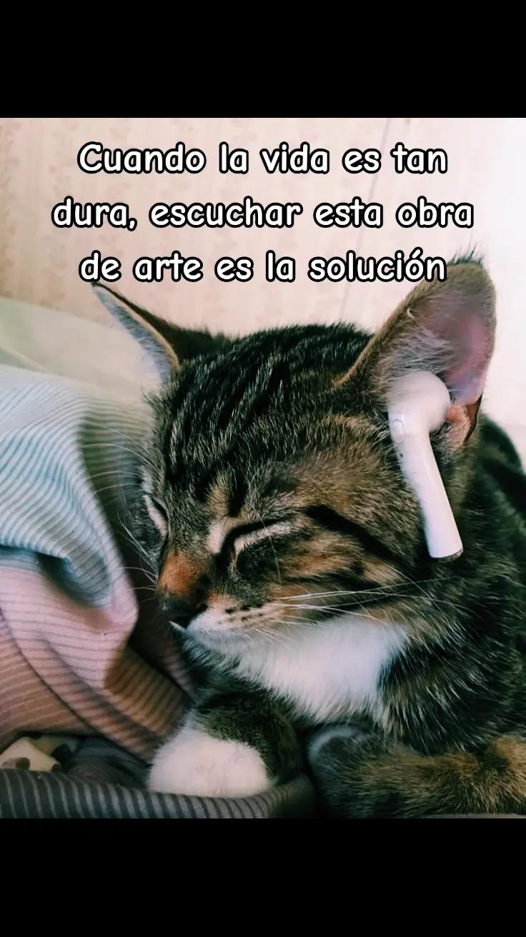 @Leoncio🗣️
