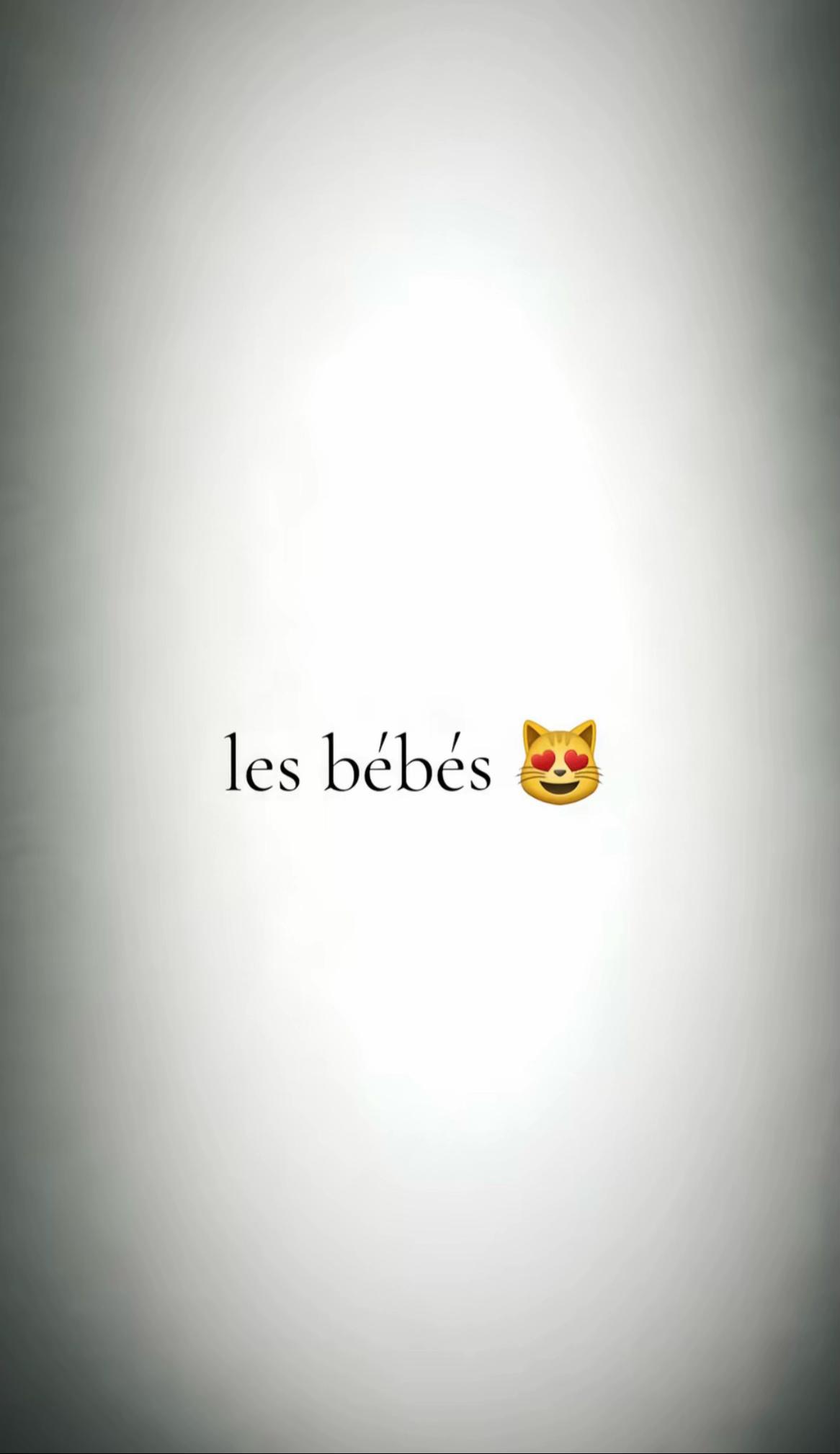 @Insomniaque60