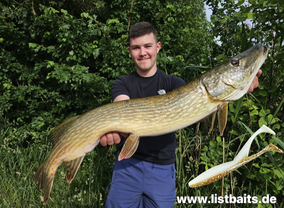 @ListBaits