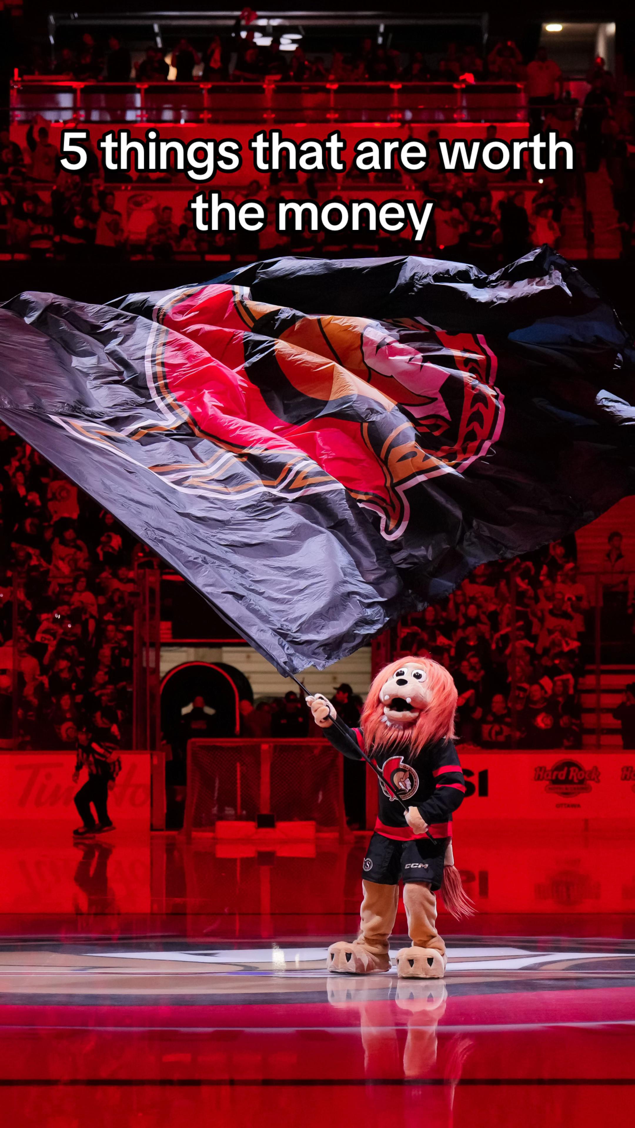 @Ottawa Senators