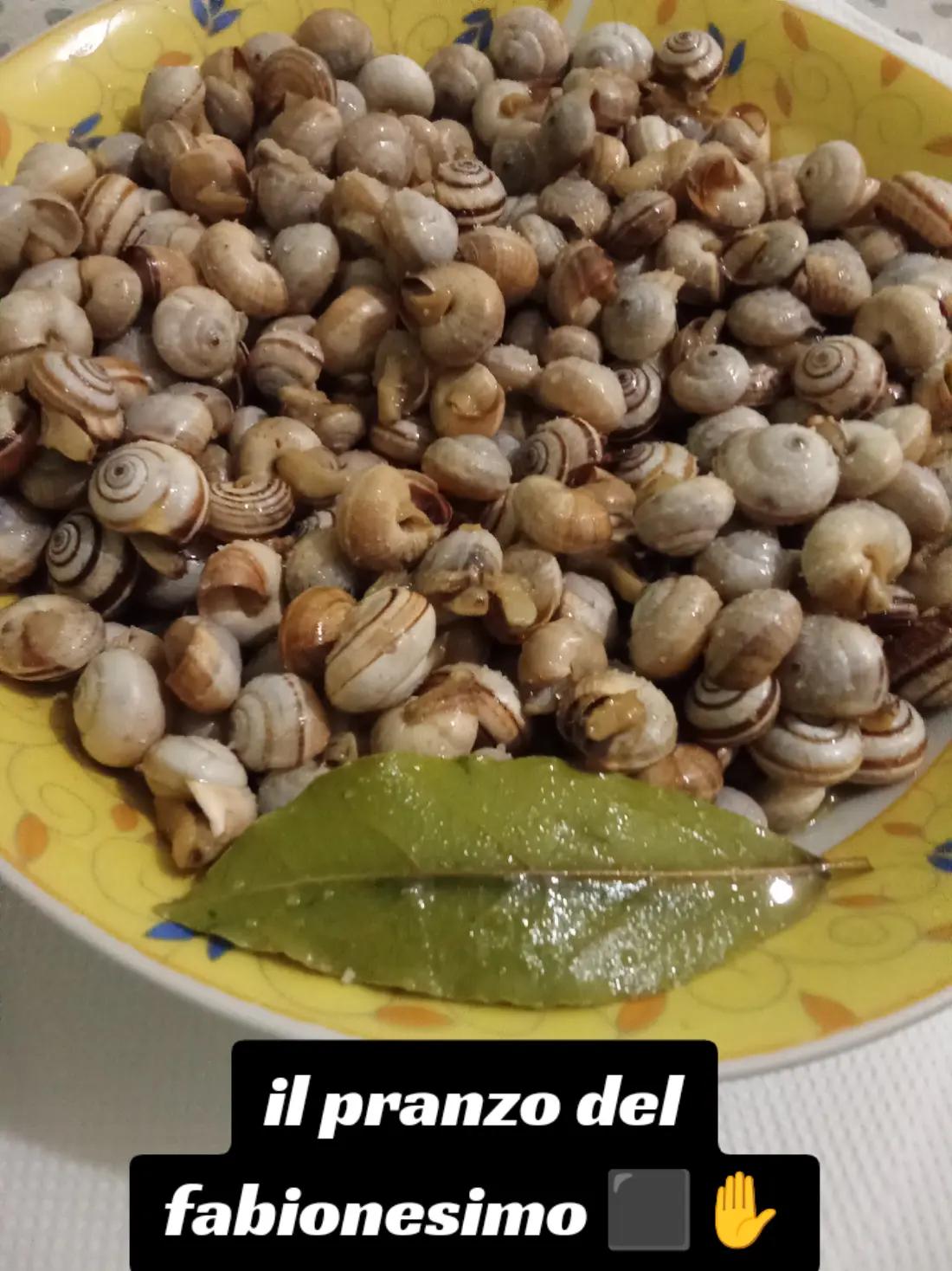 @Foggiaamosolotefabiocapellone