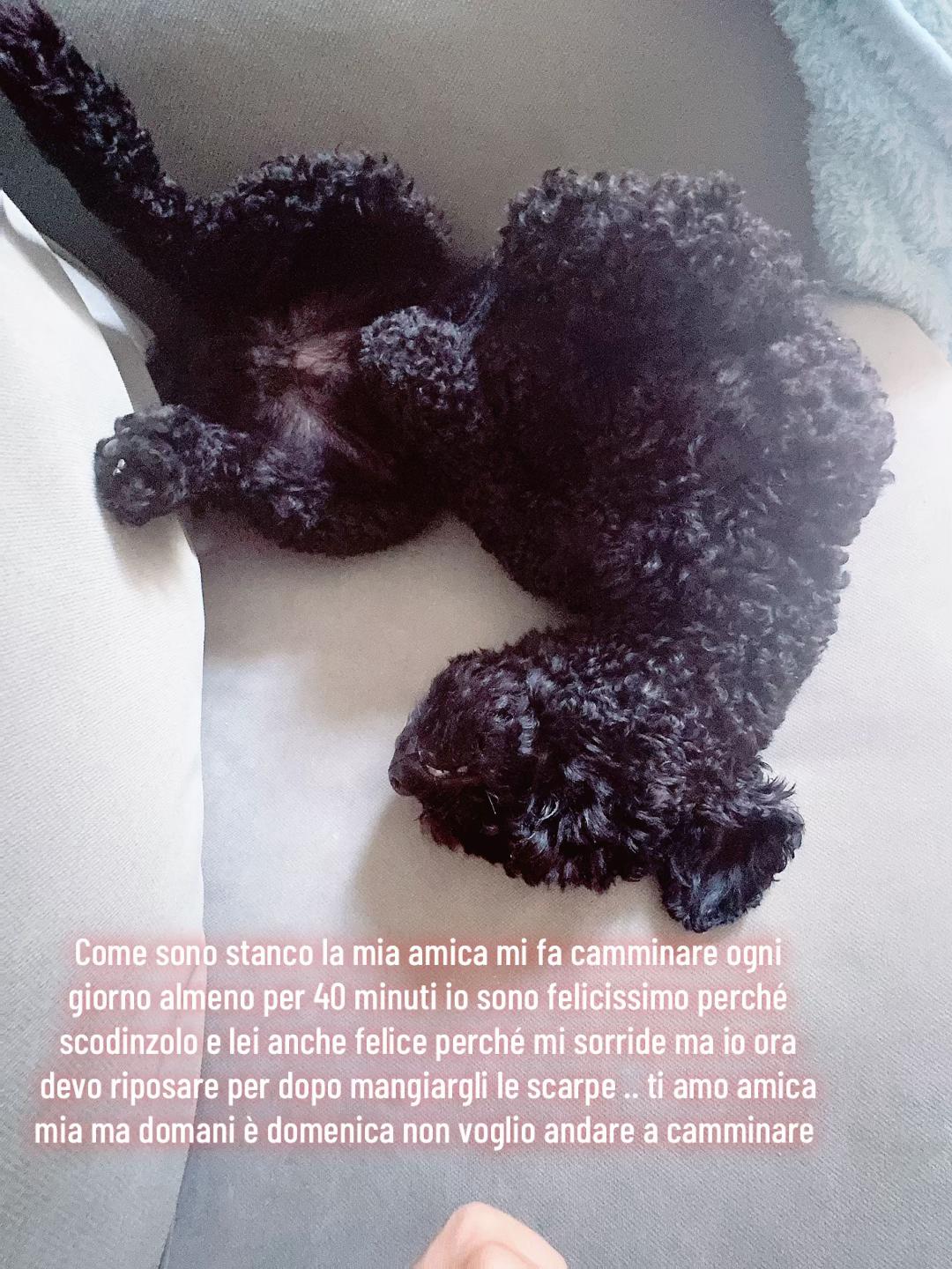 @catrin.yorki🖤🐶🌈🏳️🌈💜