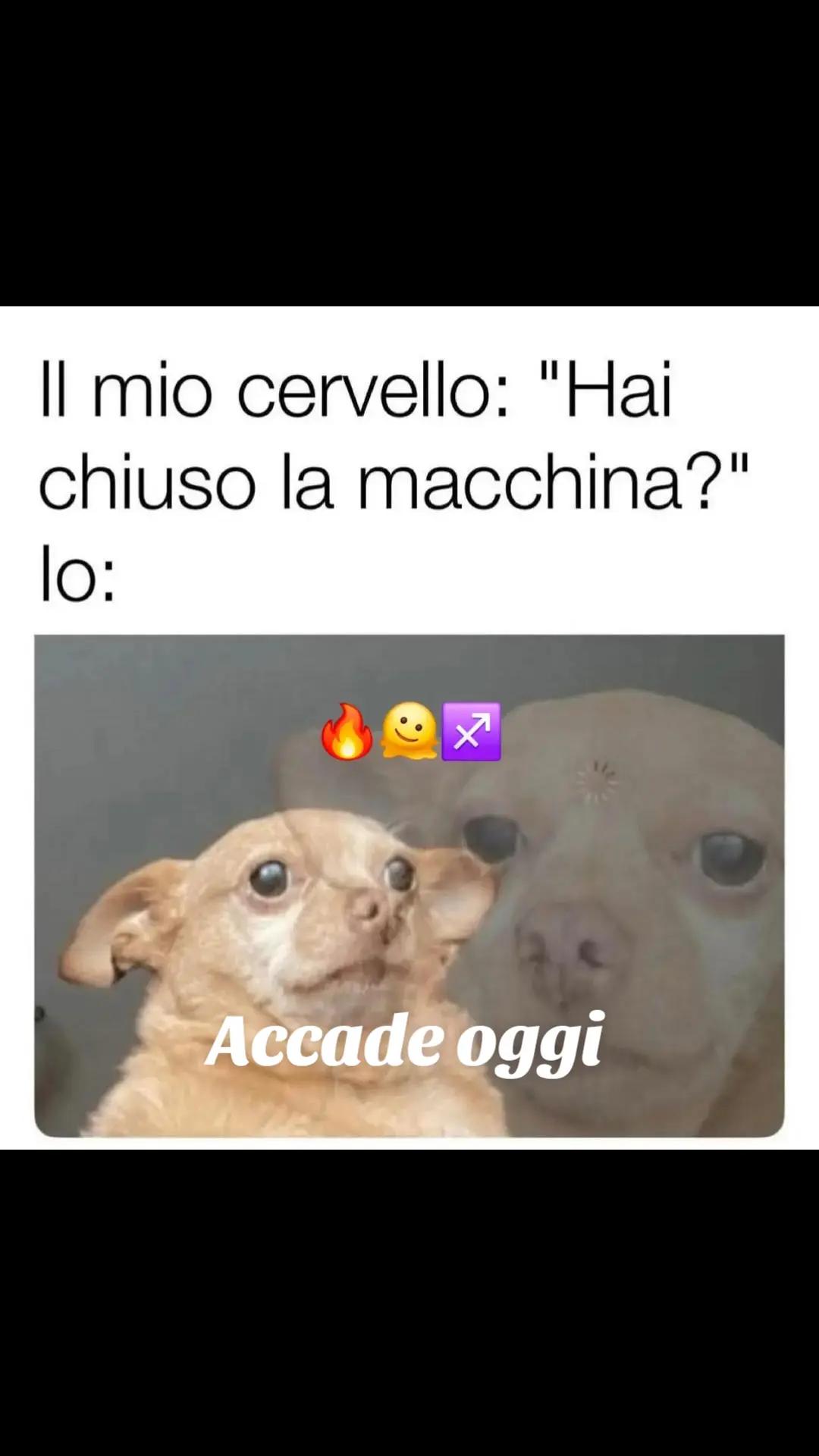 @Raffaellaraffa