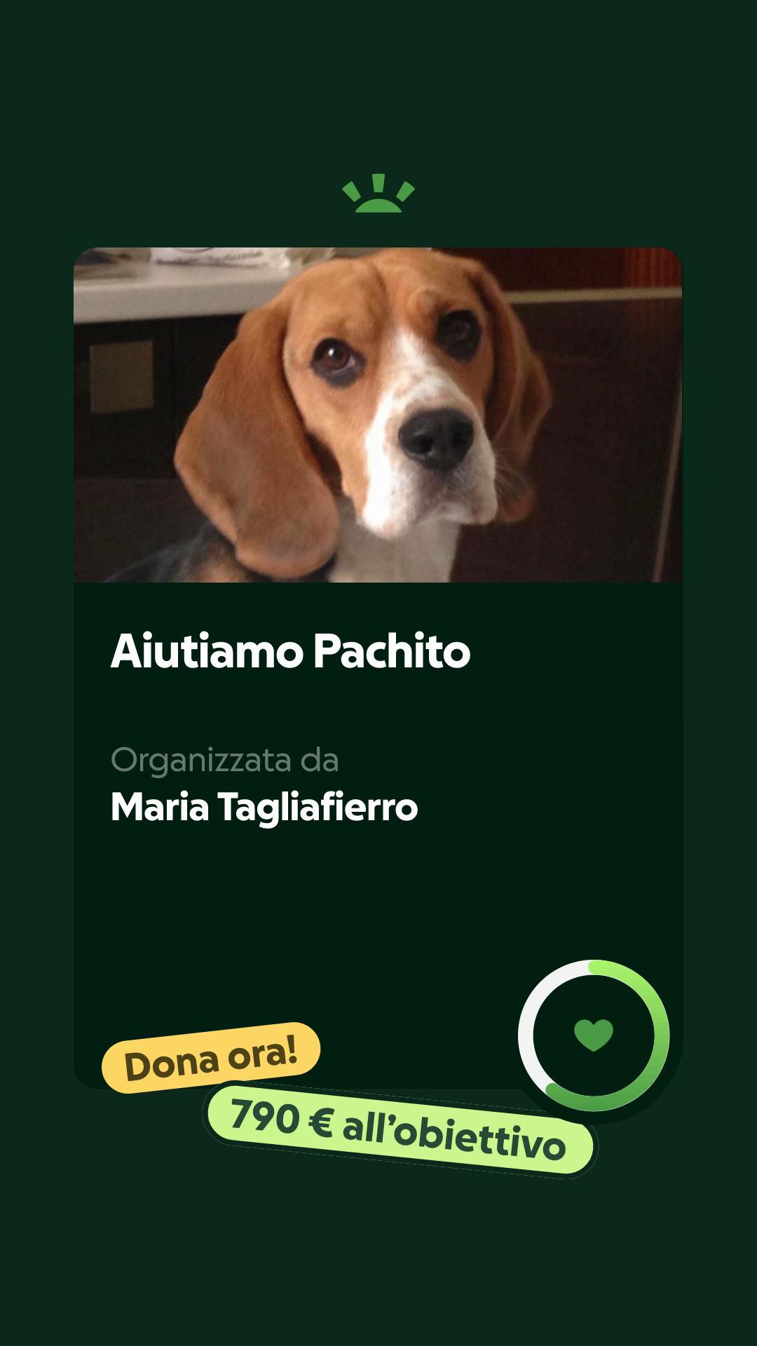 @melaniadomenico1