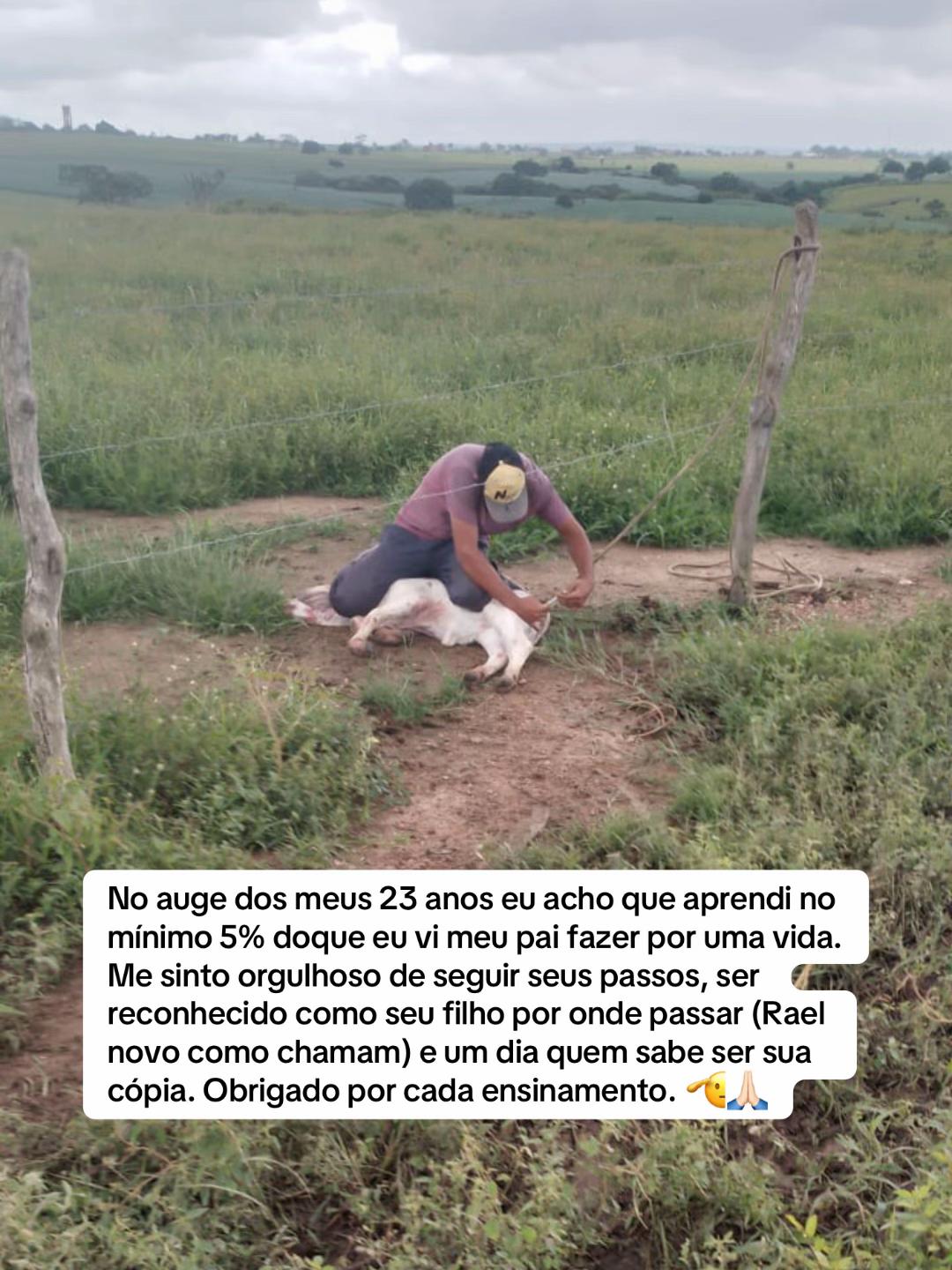 @pedro_mickaell