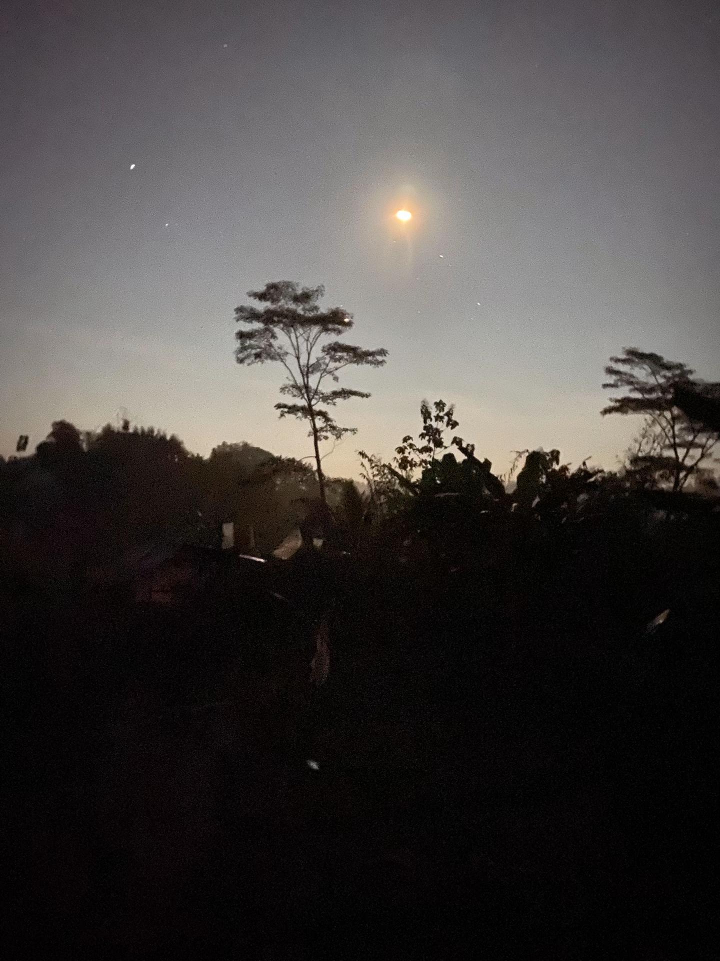 @moon'x