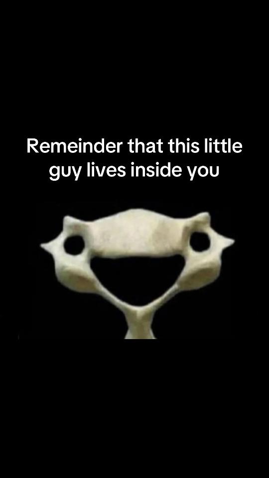 @꧁𝙼𝙴𝙶꧂