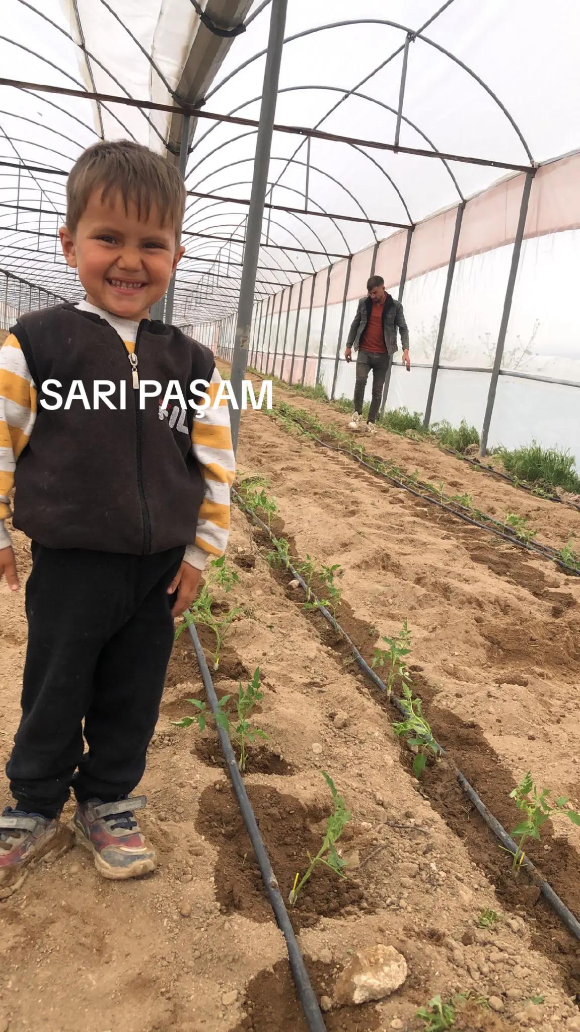 @Oğuz Çelebi480