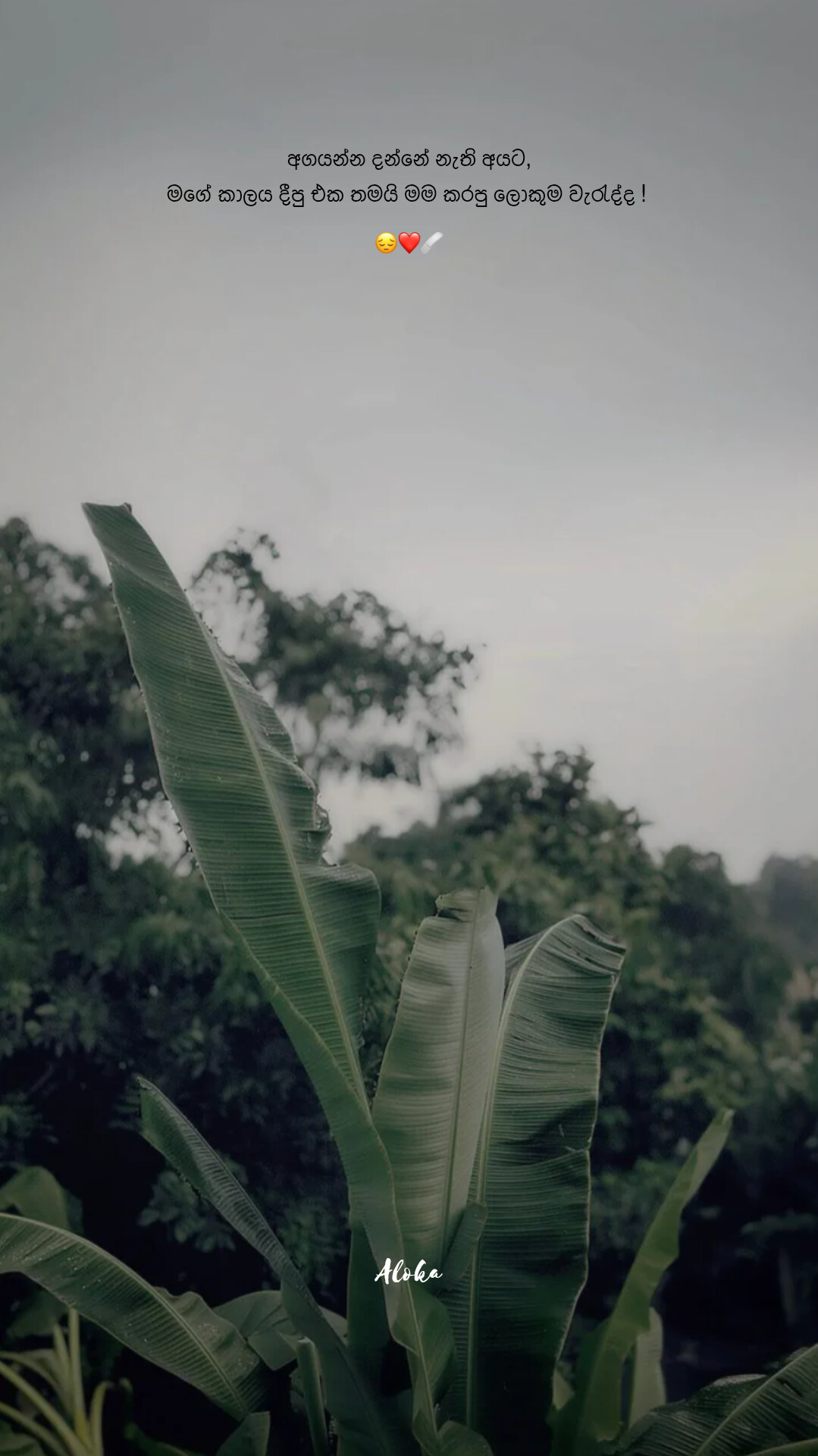 @𝔸𝕃𝕆𝕂𝔸_𝕆𝔽𝔽𝕀ℂ𝕀𝔸𝕃_