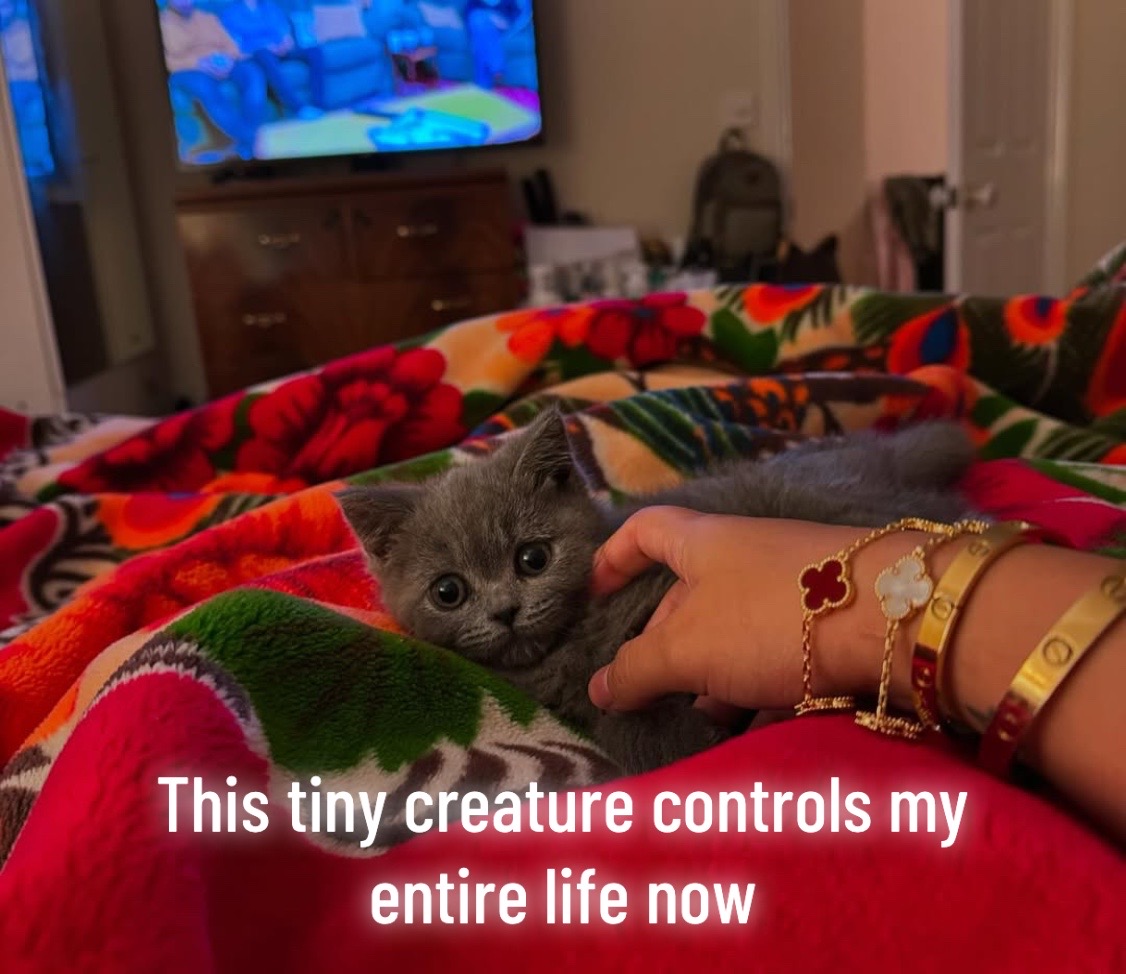 @priya