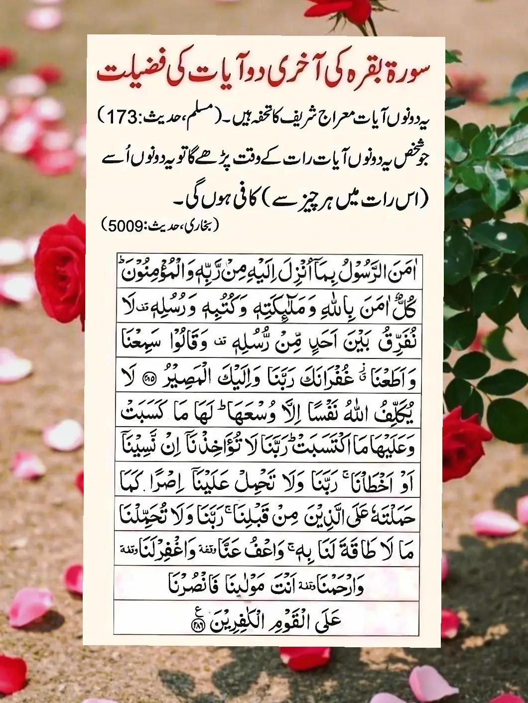@dilmuhammad
