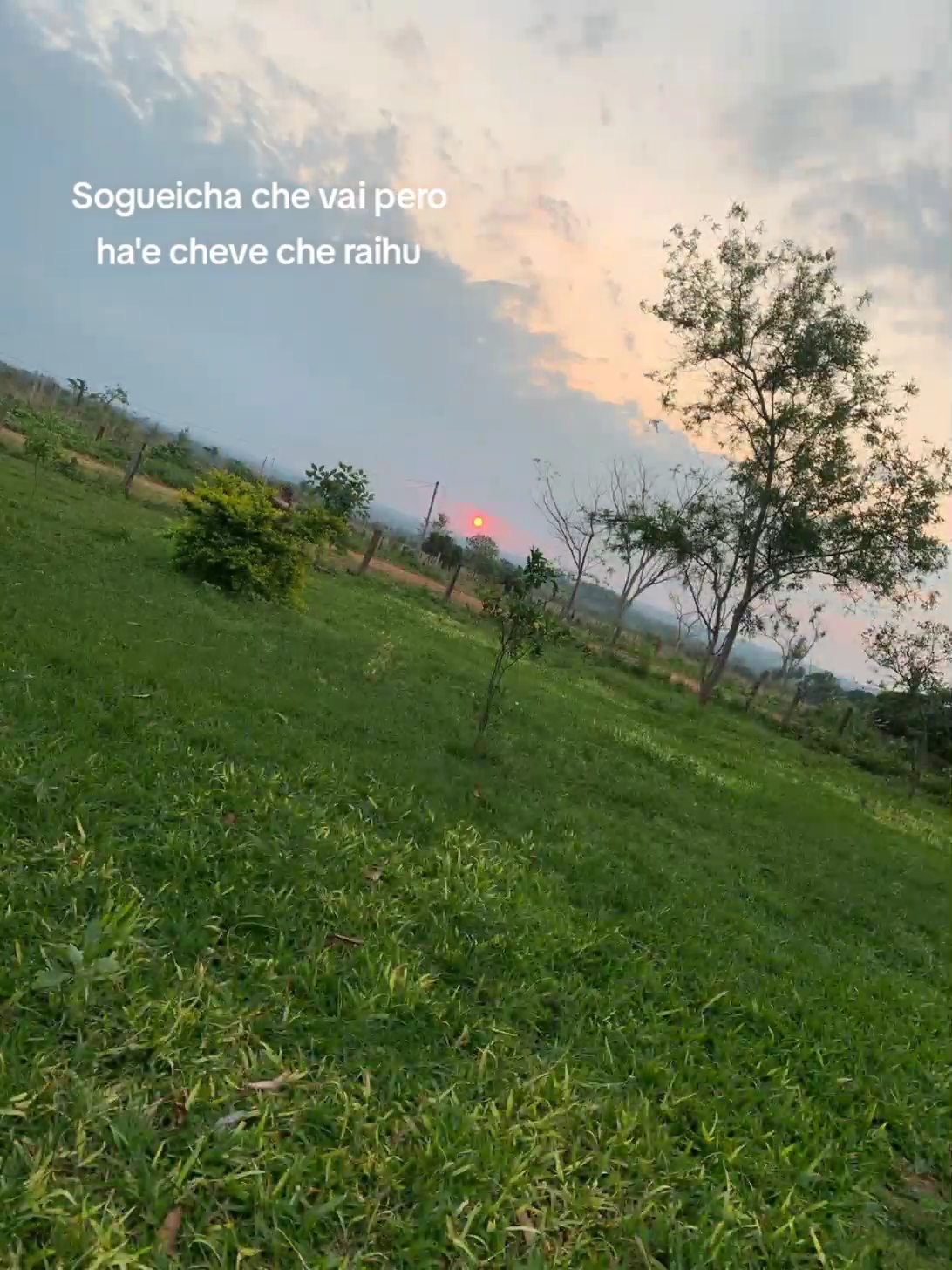@Frases 🌹🥀