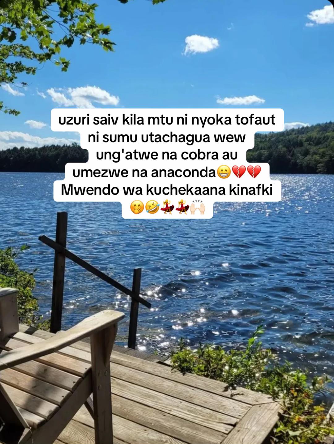 @am jojo og💎