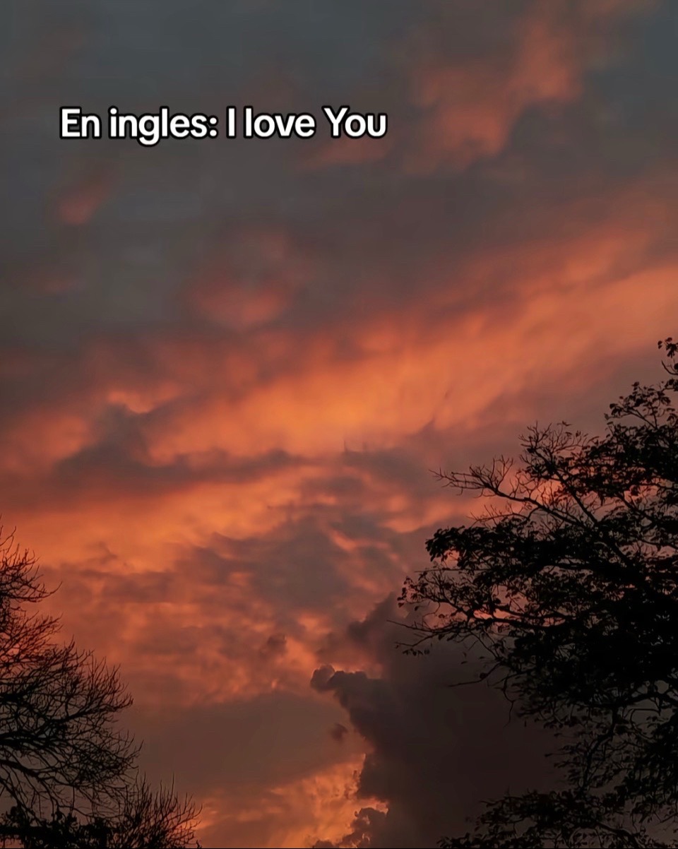@Elena Solis