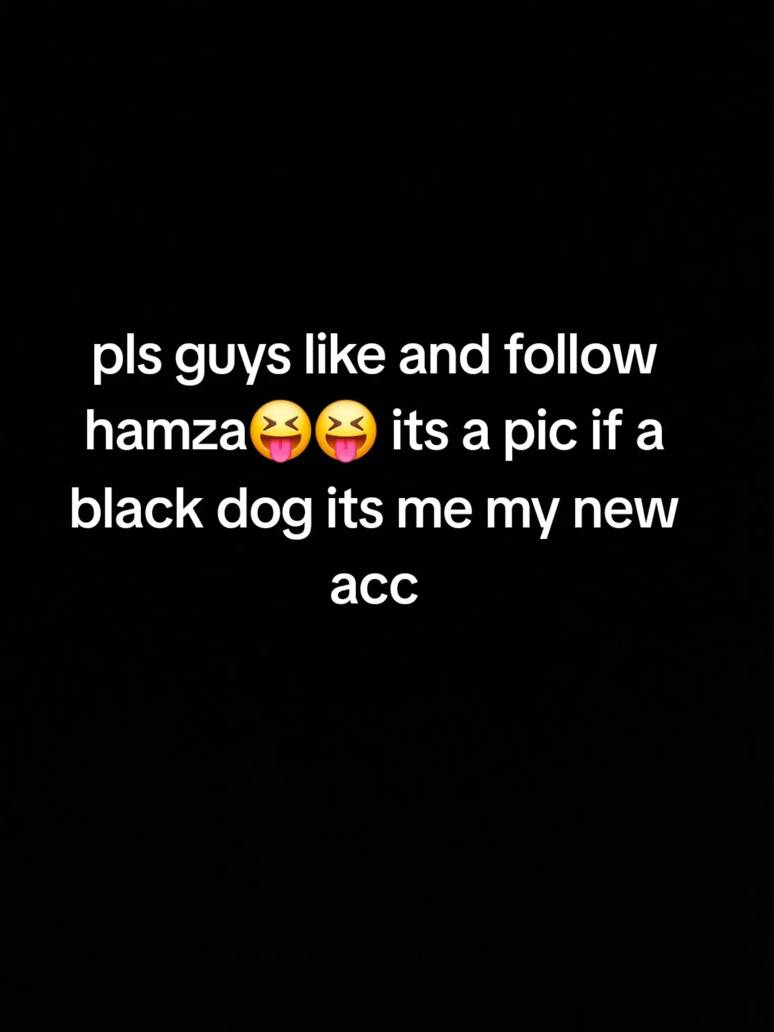 @alphatrader71