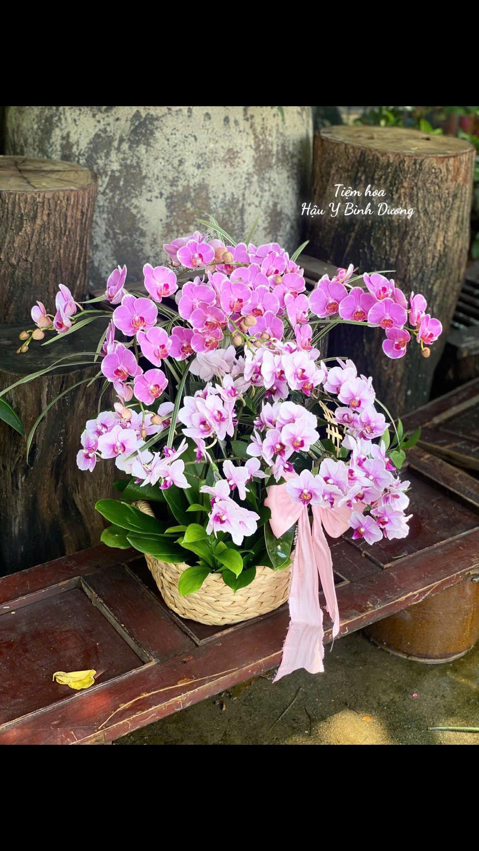 @Chú Hậu Tiệm Hoa Bình Dương