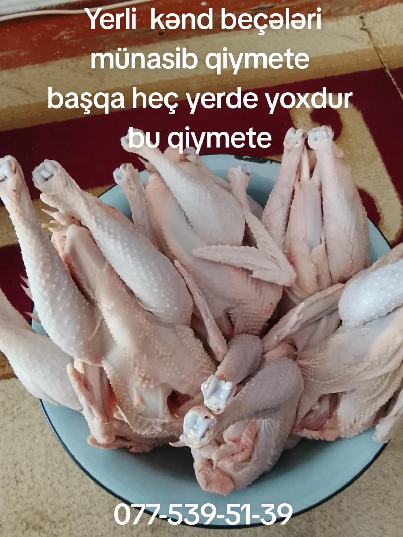 @Cenub_sebeti_ibAy