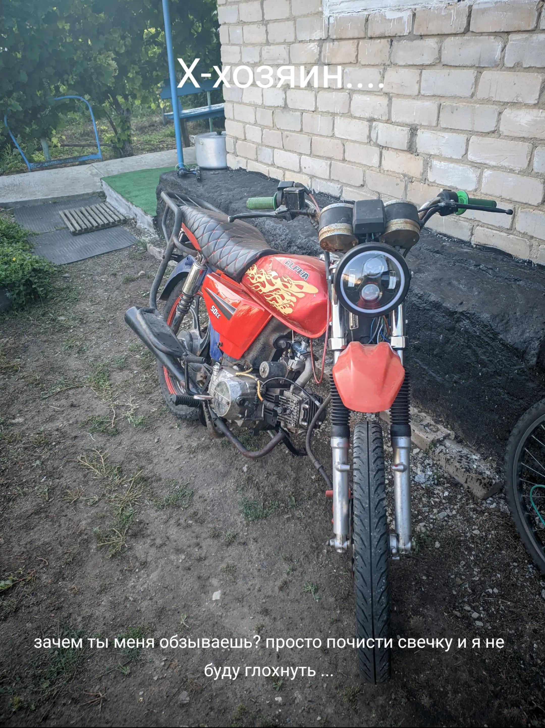 @☦УЧЁНЫЙ НА АЛЬФЕ☦ [🇷🇺☮]