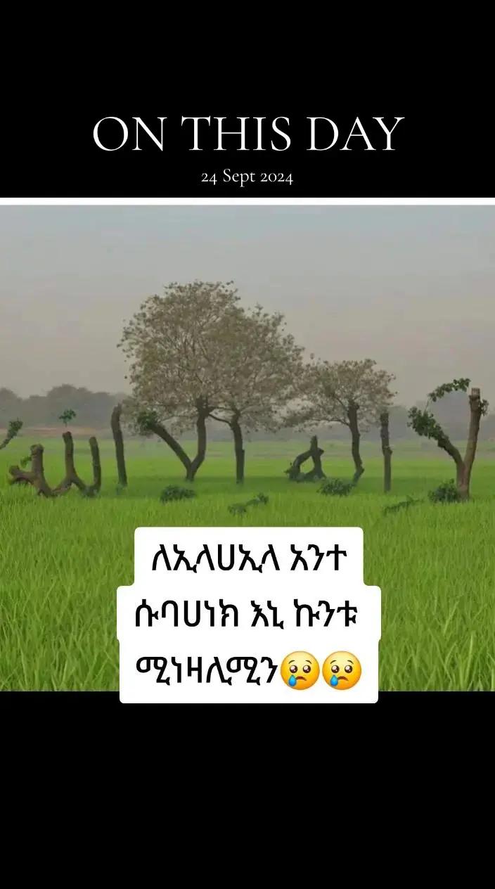 @โอโอ๐แ
โบโแแโฉโแฏโอโอ๐๐
