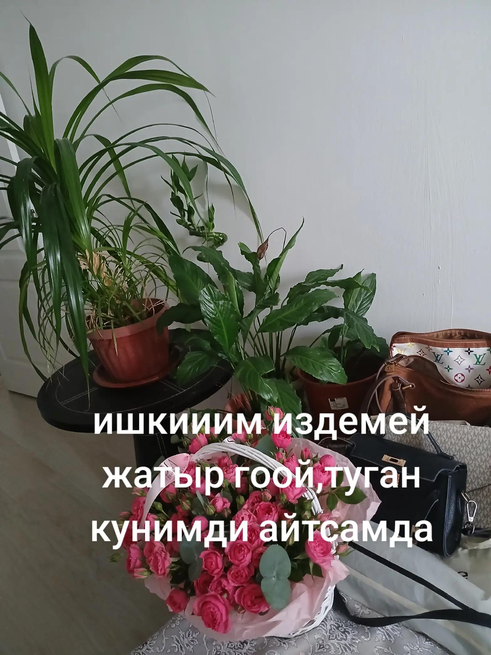 @Майра