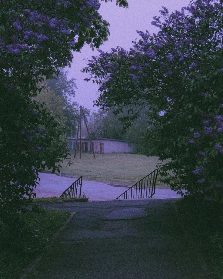 @🔮
