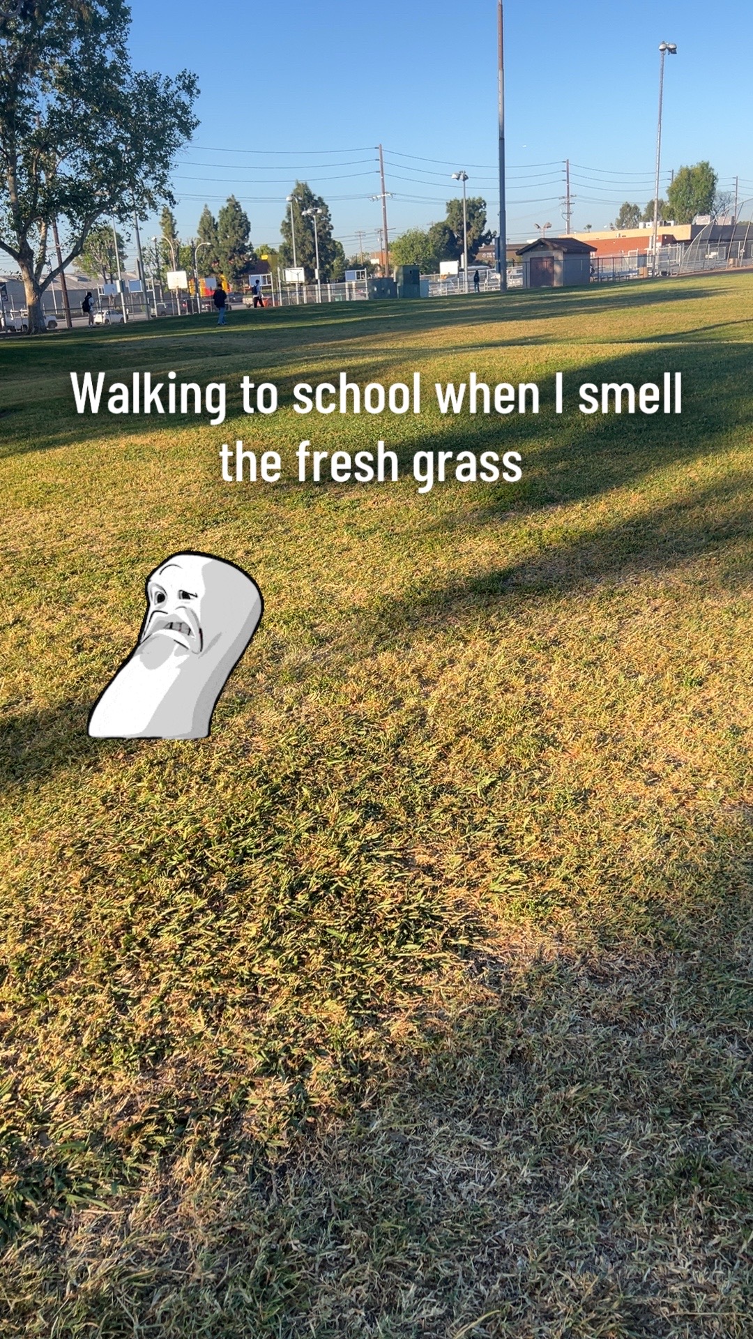 @OLAF