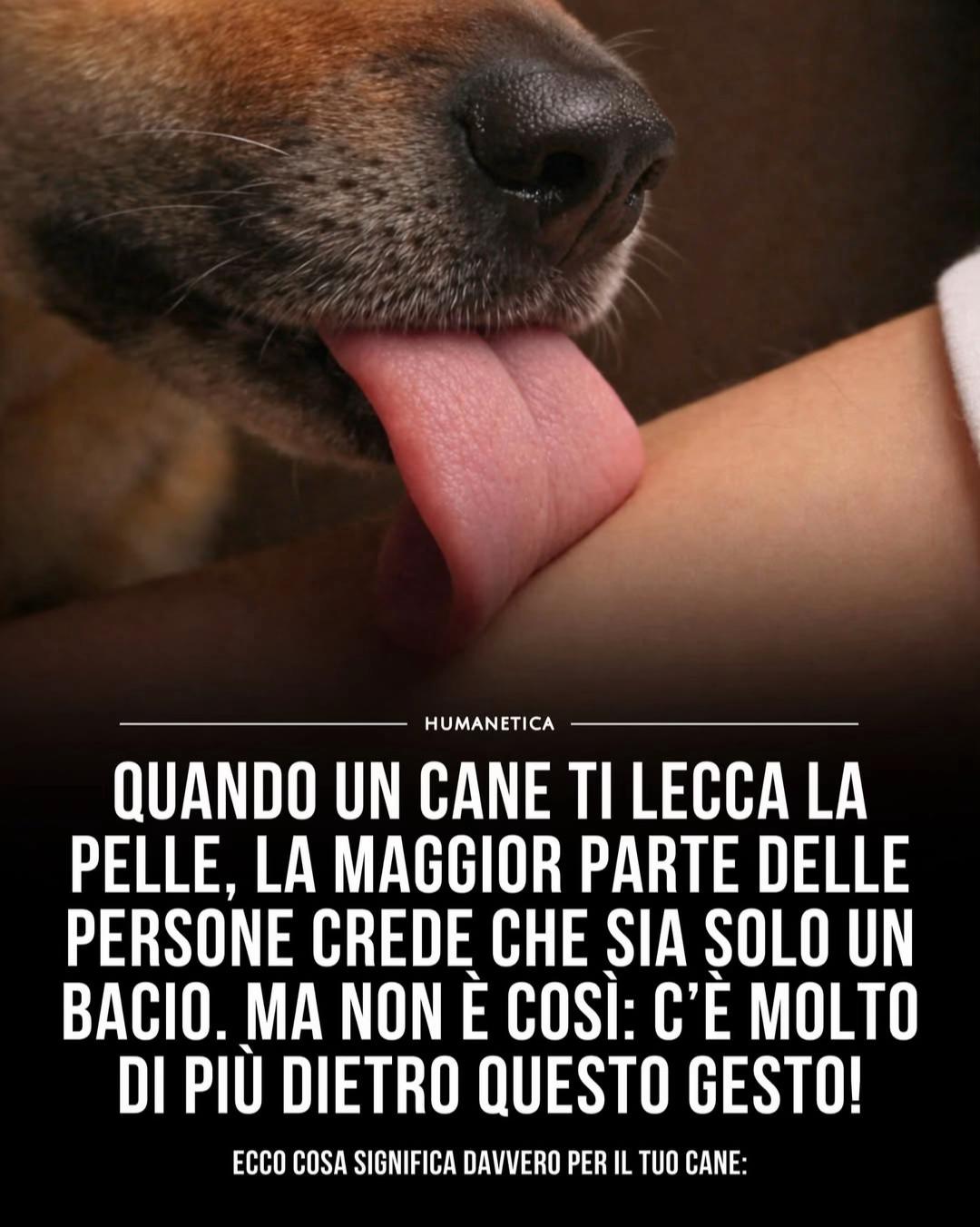 @Humanetica
