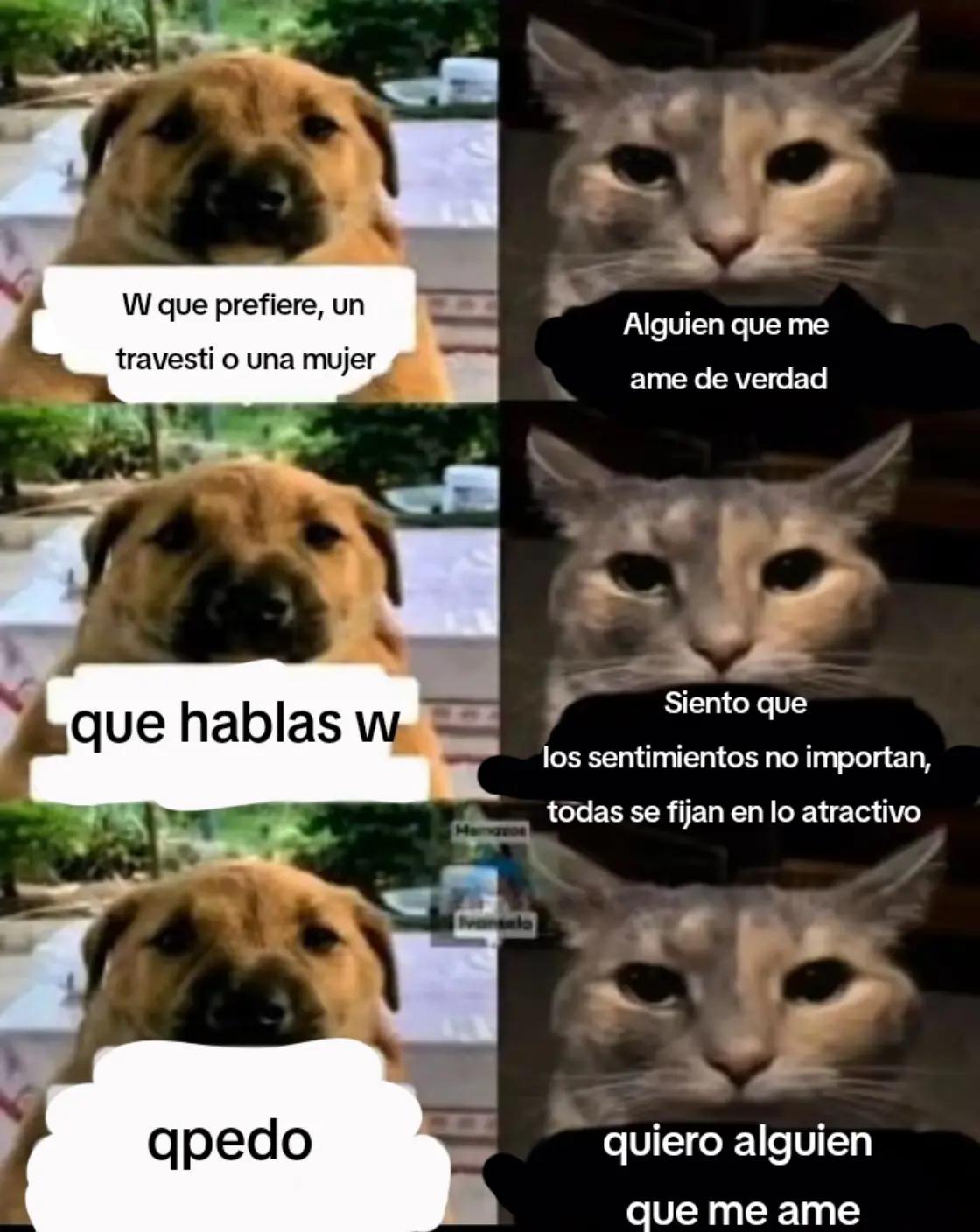 @Alexis - Kun🦇