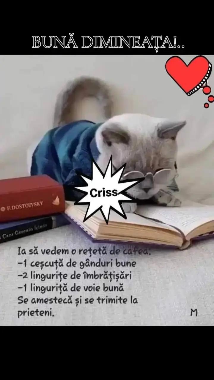 @Cristina