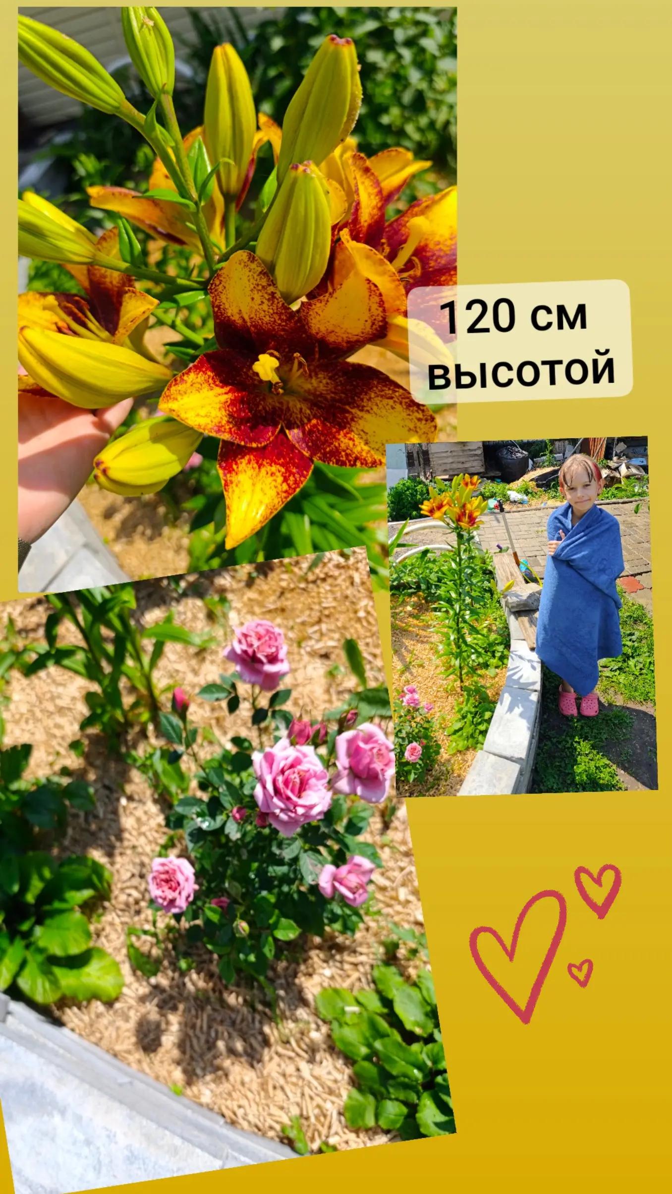 @Котя КотоФЕЙ
