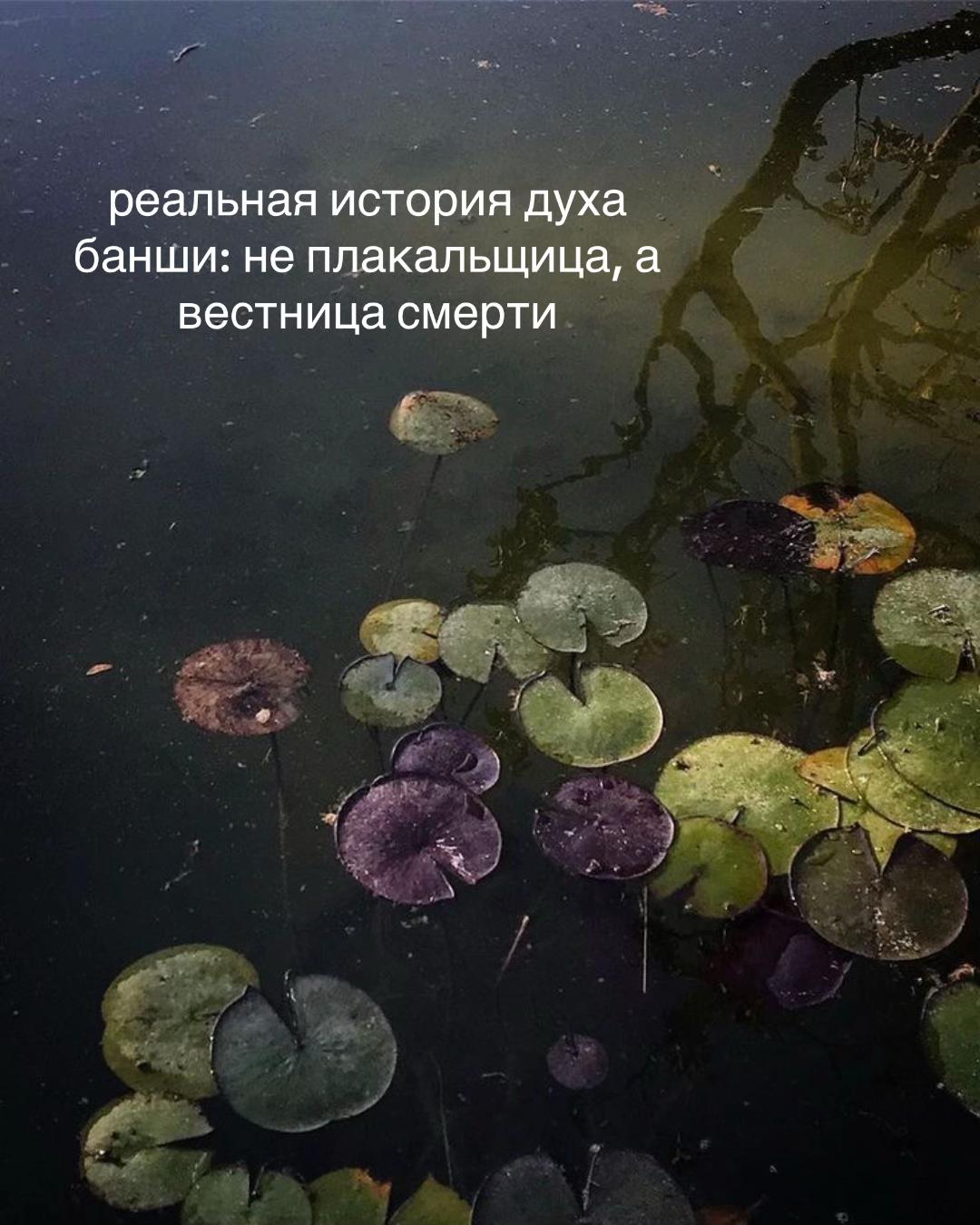 @Варякоз