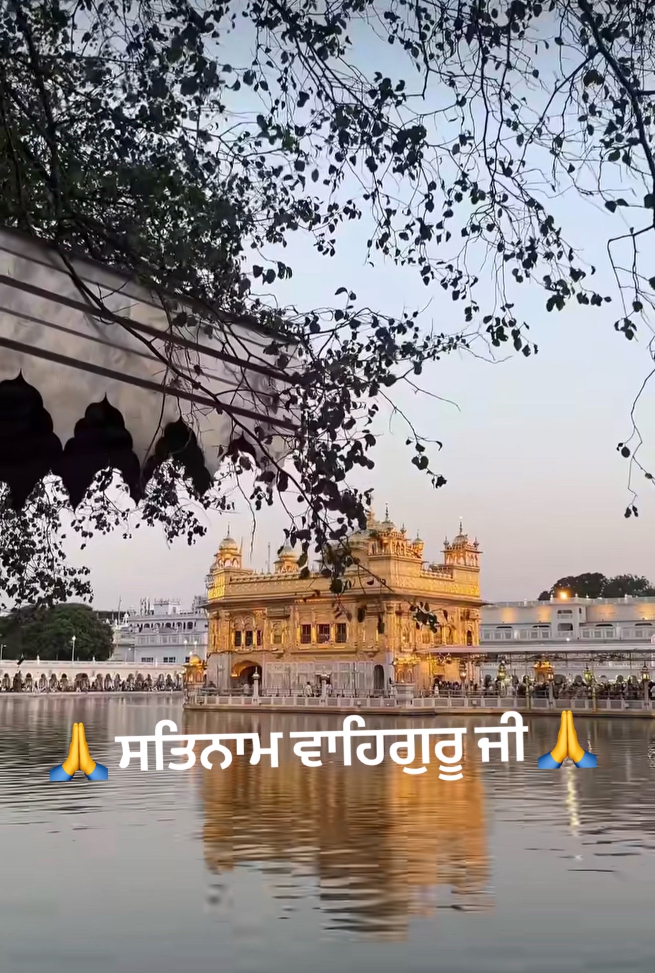 @SinghGurleen