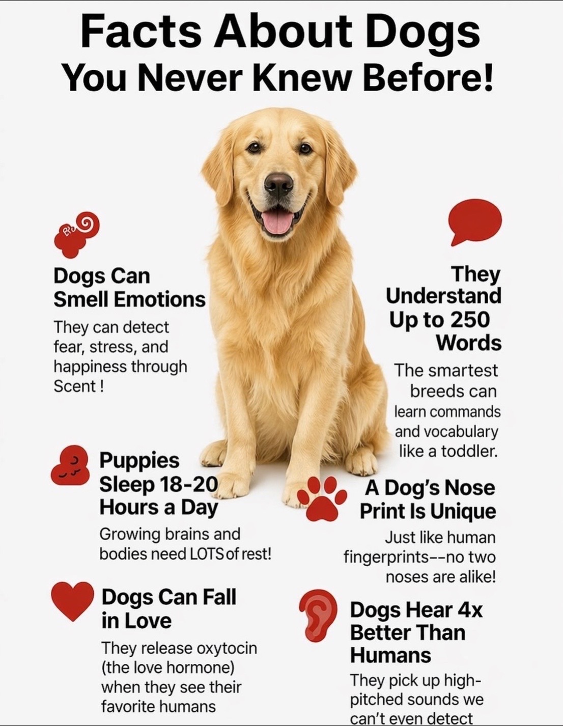 @RobertHouseDoglife