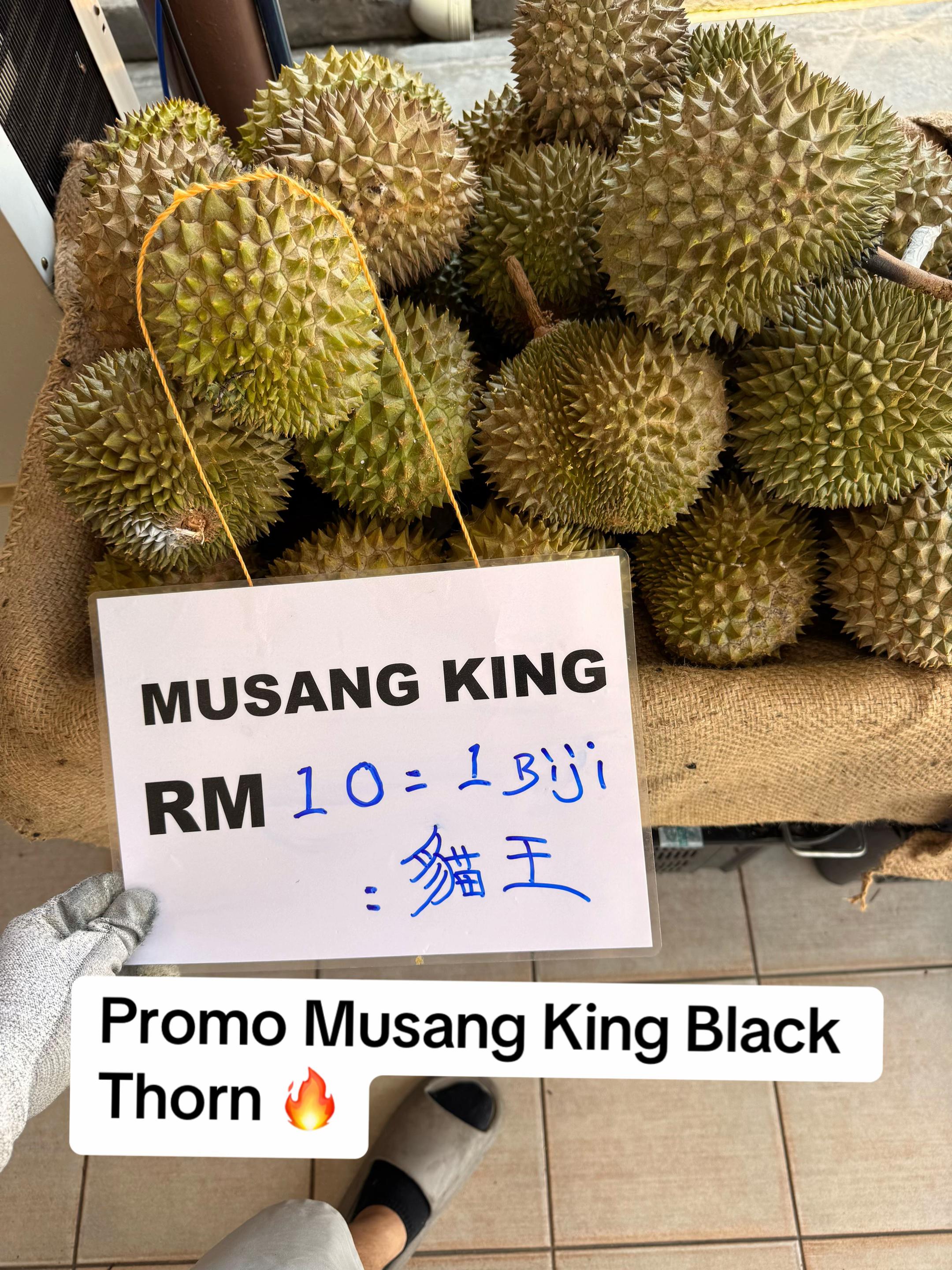 @Keningau Farm