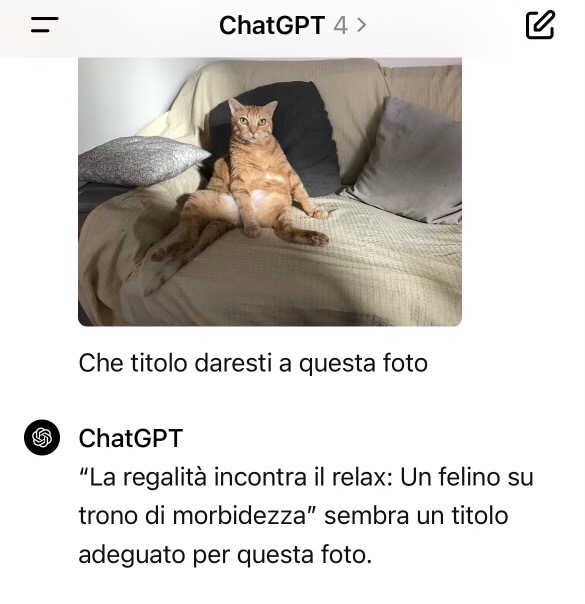 @Ileana e il Kimino
