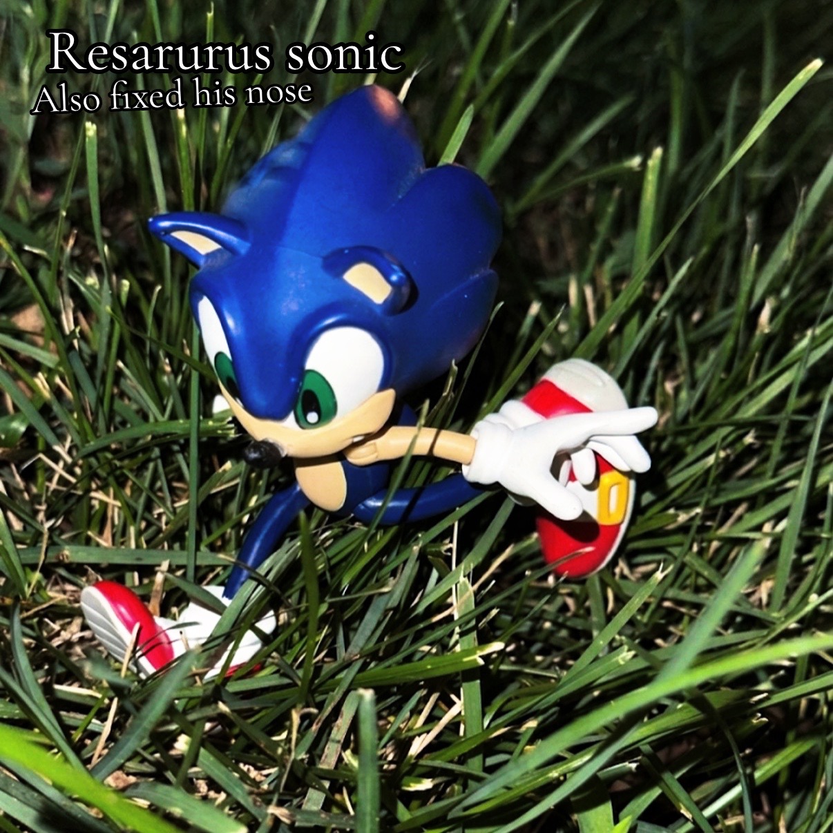 @the_sonic_collector132