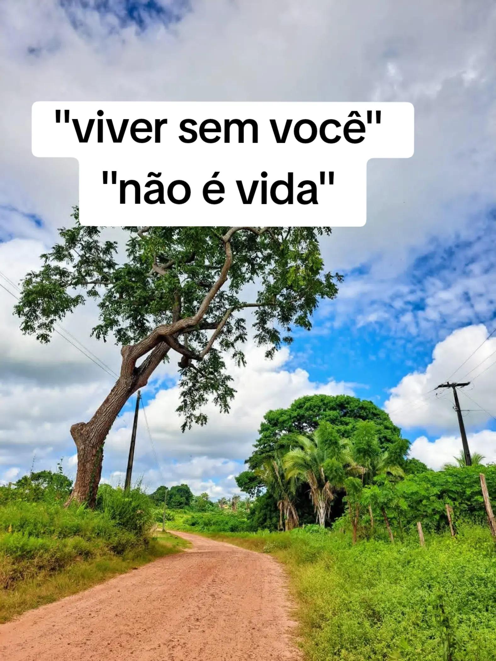 @O menino da estrada