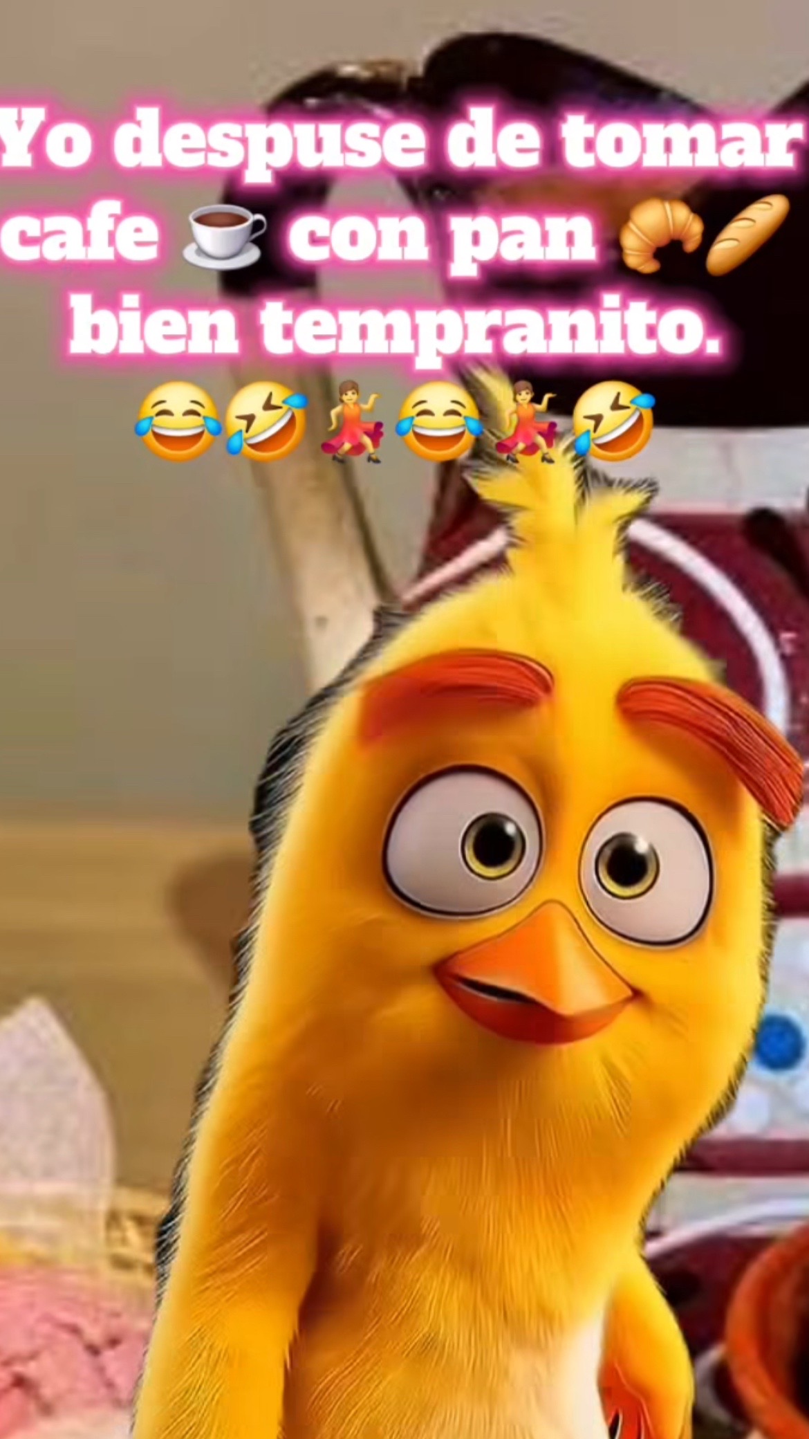 @Pedro Cruz