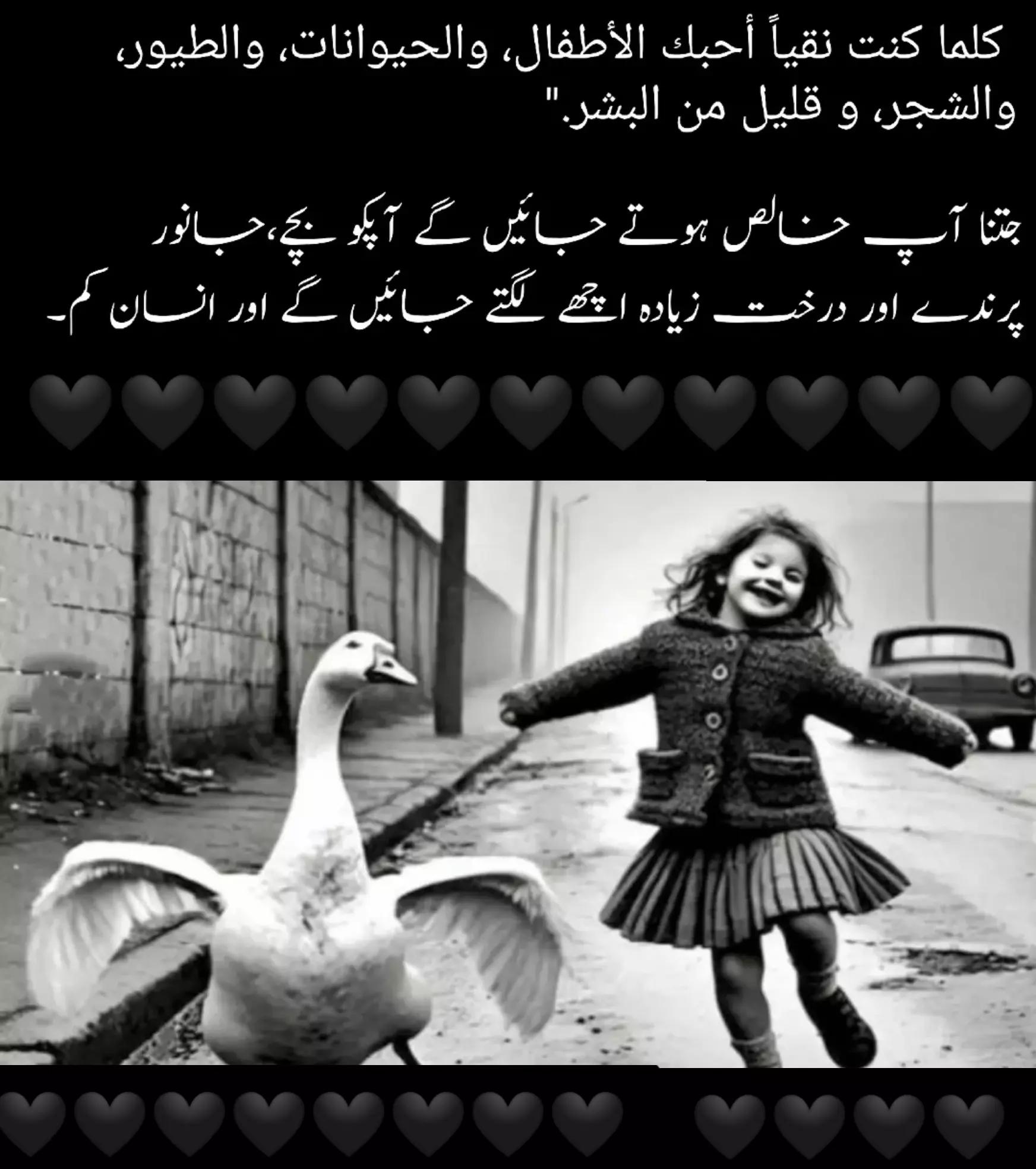 @ZAIN_89🖤