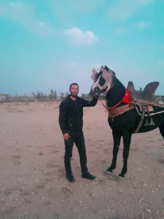 @نور الدين