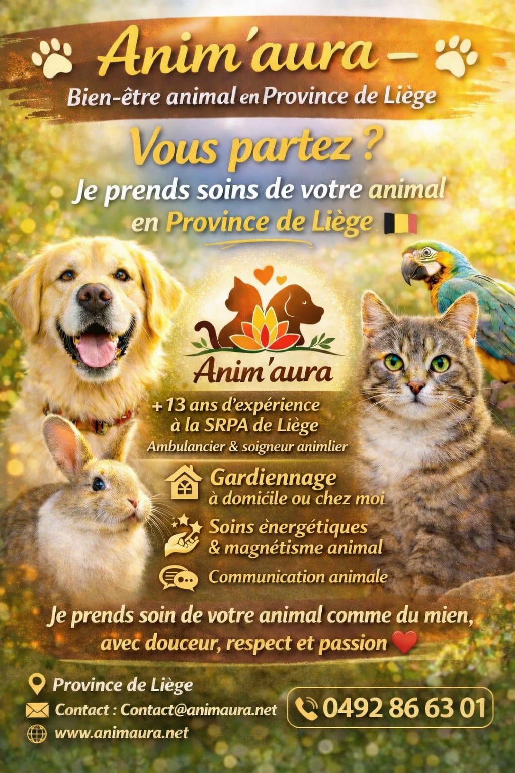 @😻petitchat 😻