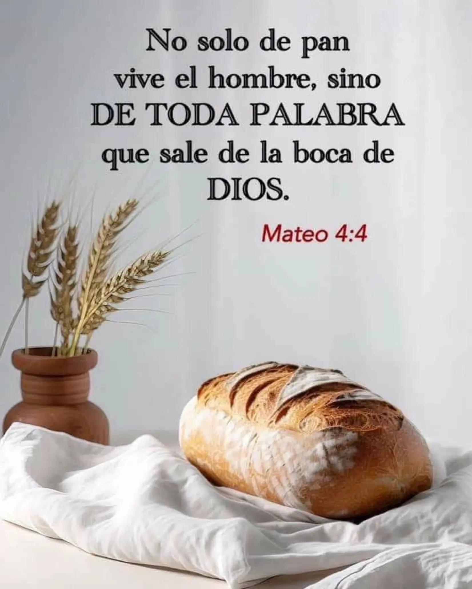 @Bella Durmiente hasta la muert