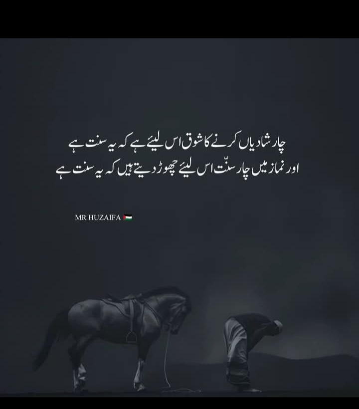 @Sahar Noor